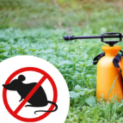 Родентициди (Засоби захисту від гризунів)